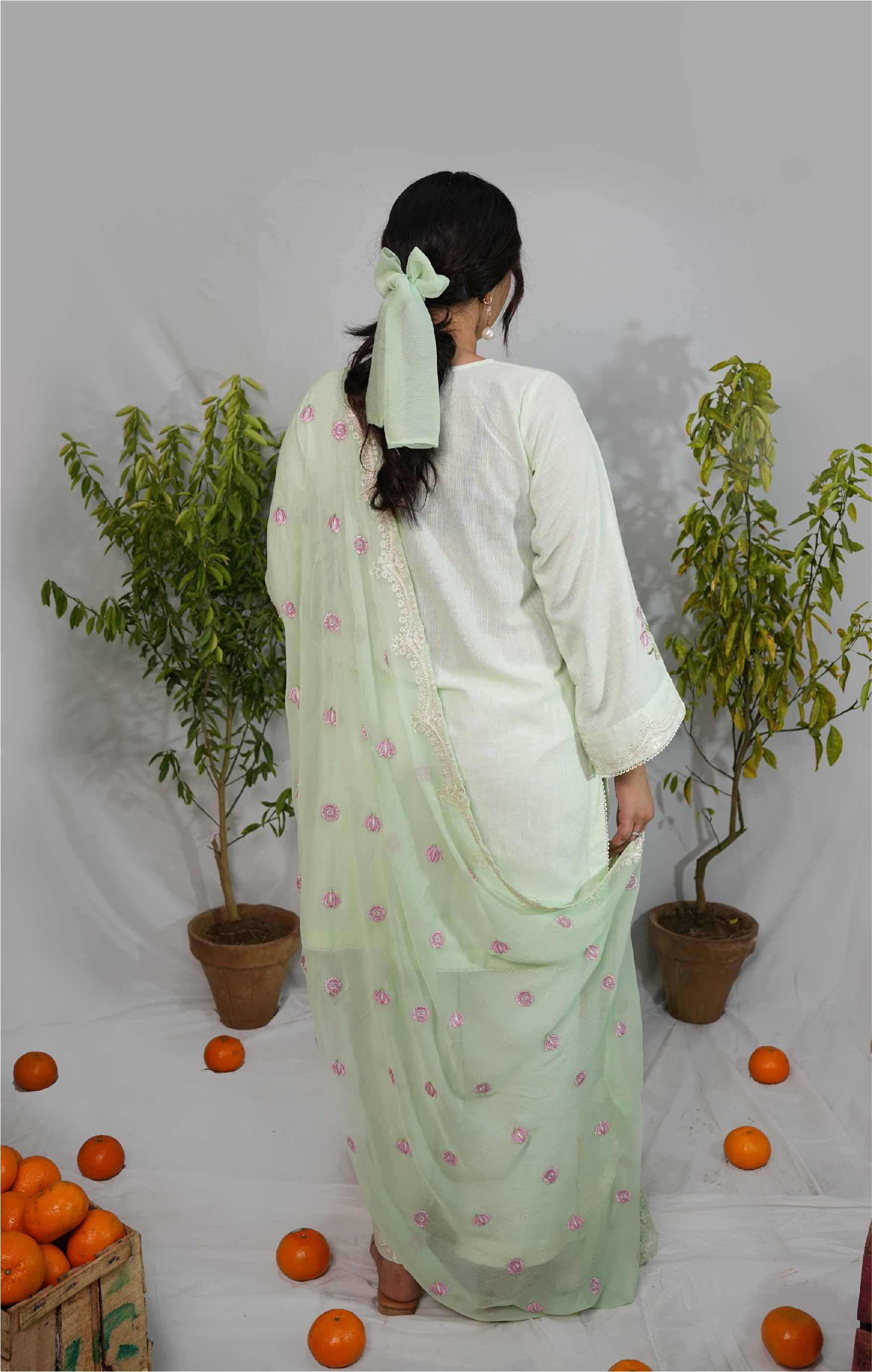 Person wearing a light green saree with a white blouse in a minimalistic setting with plants and oranges.